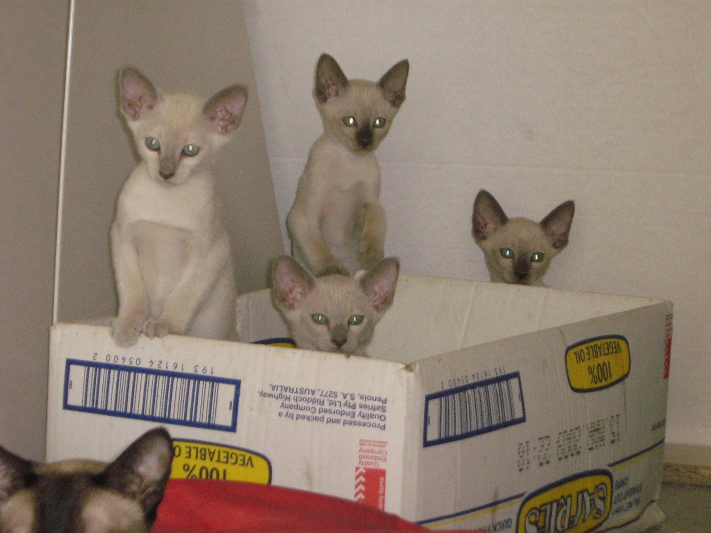 picture099-full.jpg